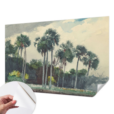 Fototapeta na ścianę z motywem egzotycznych palm
