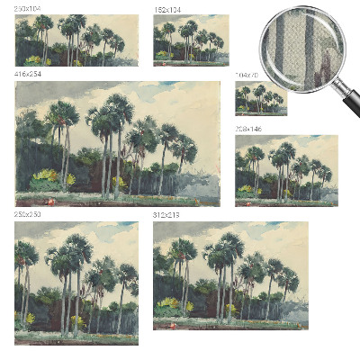 Fototapeta na ścianę z motywem egzotycznych palm