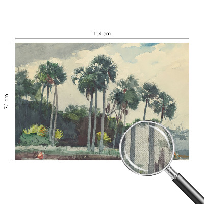 Fototapeta na ścianę z motywem egzotycznych palm