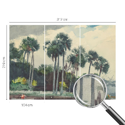 Fototapeta na ścianę z motywem egzotycznych palm