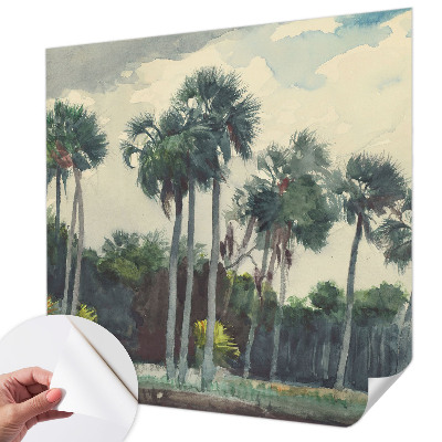 Fototapeta na ścianę z motywem egzotycznych palm