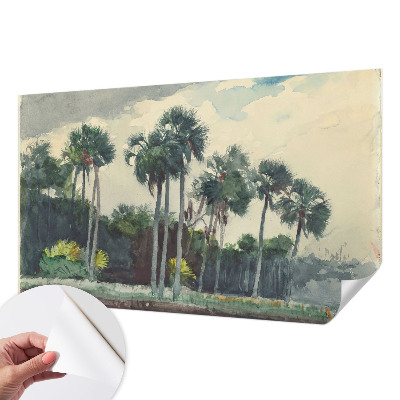 Fototapeta na ścianę z motywem egzotycznych palm