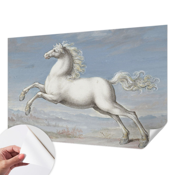 Tapeta fotograficzna samoprzylepna Tapeta fotograficzna samoprzylepna