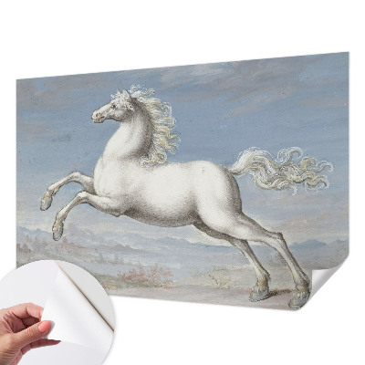 Tapeta fotograficzna samoprzylepna Konie w skoku