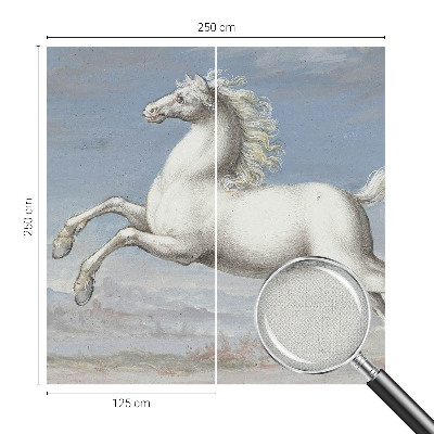 Tapeta fotograficzna samoprzylepna z motywem koni w skoku