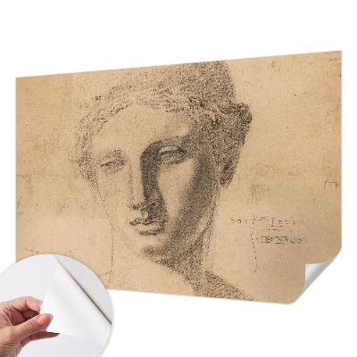 Fototapeta samoprzylepna do sypialni Kobiecy portret