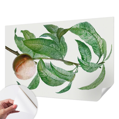 Tapeta fotograficzna samoprzylepna Tapeta fotograficzna samoprzylepna