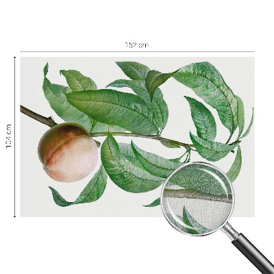 Tapeta fotograficzna samoprzylepna Tapeta fotograficzna samoprzylepna