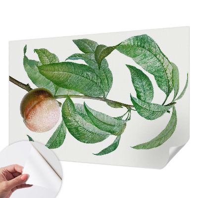 Tapeta fotograficzna samoprzylepna Tapeta fotograficzna samoprzylepna