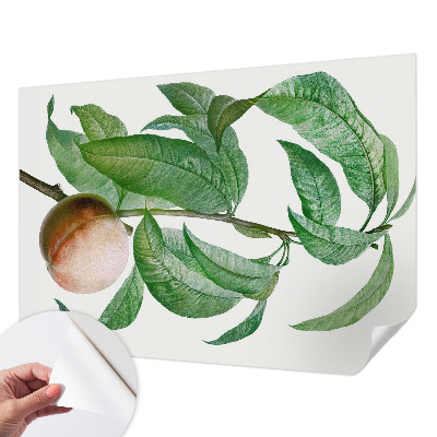 Tapeta fotograficzna samoprzylepna Tapeta fotograficzna samoprzylepna