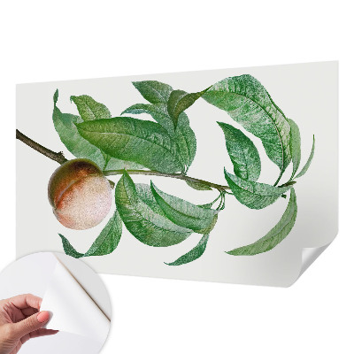 Tapeta fotograficzna samoprzylepna Tapeta fotograficzna samoprzylepna