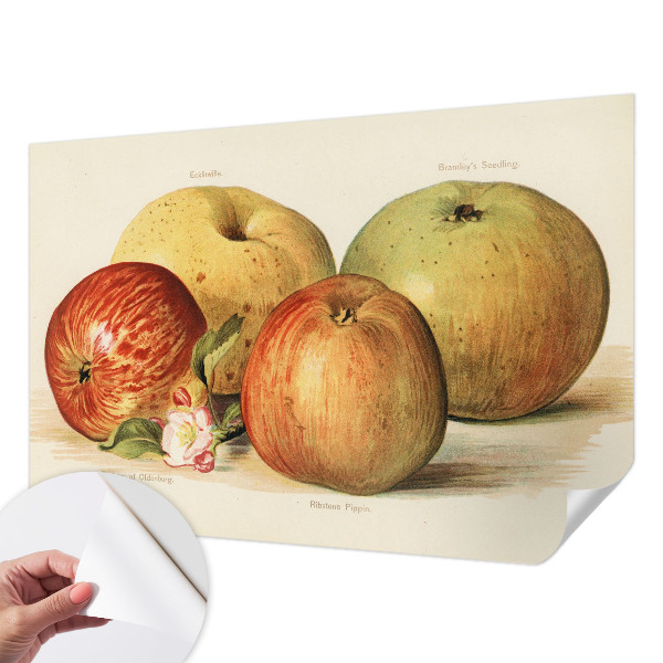 Dekoracyjna fototapeta na ścianę Dekoracyjna fototapeta na ścianę