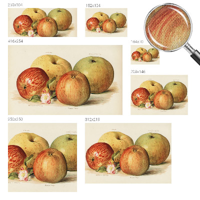 Dekoracyjna fototapeta na ścianę Dekoracyjna fototapeta na ścianę