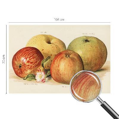 Dekoracyjna fototapeta na ścianę Dekoracyjna fototapeta na ścianę