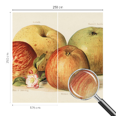 Dekoracyjna fototapeta na ścianę Dekoracyjna fototapeta na ścianę