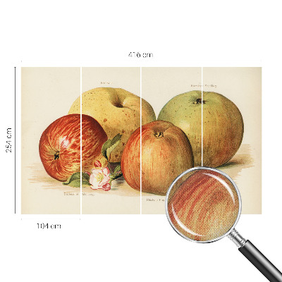 Dekoracyjna fototapeta na ścianę Dekoracyjna fototapeta na ścianę