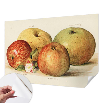 Dekoracyjna fototapeta na ścianę Dekoracyjna fototapeta na ścianę