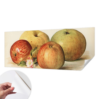 Dekoracyjna fototapeta na ścianę Dekoracyjna fototapeta na ścianę