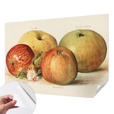 Dekoracyjna fototapeta na ścianę Dekoracyjna fototapeta na ścianę