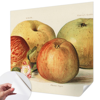 Dekoracyjna fototapeta na ścianę Dekoracyjna fototapeta na ścianę