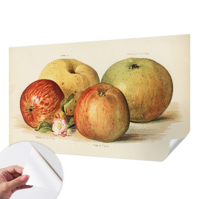 Dekoracyjna fototapeta na ścianę Dekoracyjna fototapeta na ścianę