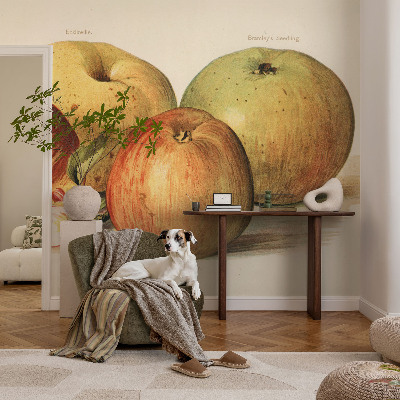 Dekoracyjna fototapeta na ścianę Dekoracyjna fototapeta na ścianę