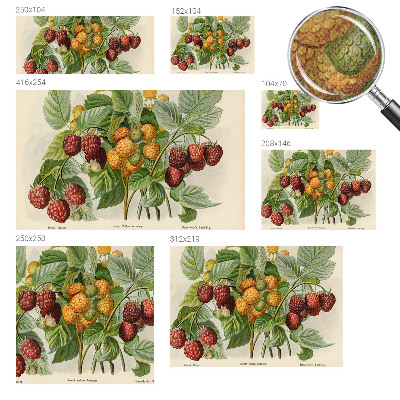 Fototapeta samoprzylepna z nadrukiem Fototapeta samoprzylepna z nadrukiem