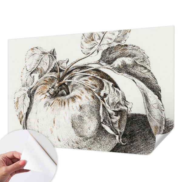 Tapeta fotograficzna Tapeta fotograficzna