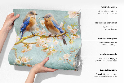 Tapeta fotograficzna z motywem jabłka i liści