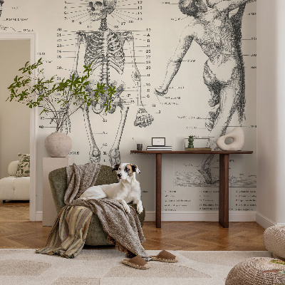 Dekoracyjna fototapeta na ścianę z klasycznym motywem anatomicznym