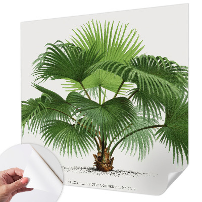 Nowoczesna fototapeta do salonu Nowoczesna fototapeta do salonu