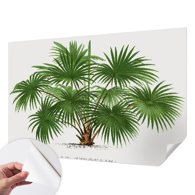 Dekoracyjna fototapeta na ścianę Egzotyczny wzór