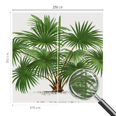 Dekoracyjna fototapeta na ścianę Dekoracyjna fototapeta na ścianę