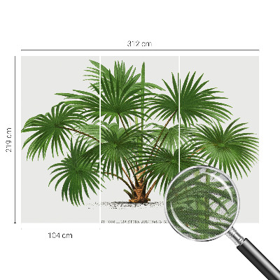 Dekoracyjna fototapeta na ścianę Dekoracyjna fototapeta na ścianę