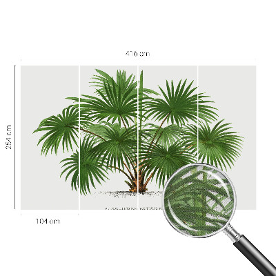 Dekoracyjna fototapeta na ścianę Dekoracyjna fototapeta na ścianę