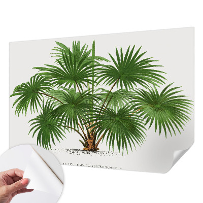 Dekoracyjna fototapeta na ścianę Dekoracyjna fototapeta na ścianę