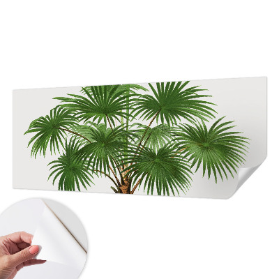 Dekoracyjna fototapeta na ścianę Dekoracyjna fototapeta na ścianę