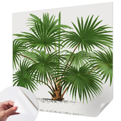 Dekoracyjna fototapeta na ścianę Dekoracyjna fototapeta na ścianę