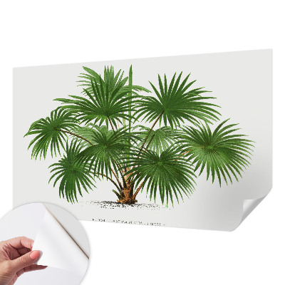 Dekoracyjna fototapeta na ścianę Dekoracyjna fototapeta na ścianę