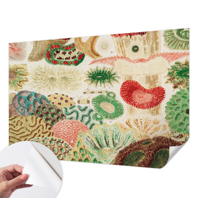 Fototapeta na ścianę Fototapeta na ścianę