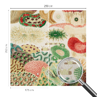 Fototapeta na ścianę Fototapeta na ścianę