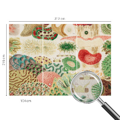 Fototapeta na ścianę Fototapeta na ścianę