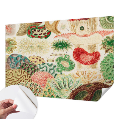 Fototapeta na ścianę Fototapeta na ścianę