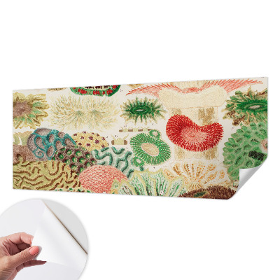 Fototapeta na ścianę Fototapeta na ścianę