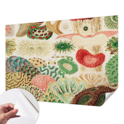 Fototapeta na ścianę Fototapeta na ścianę