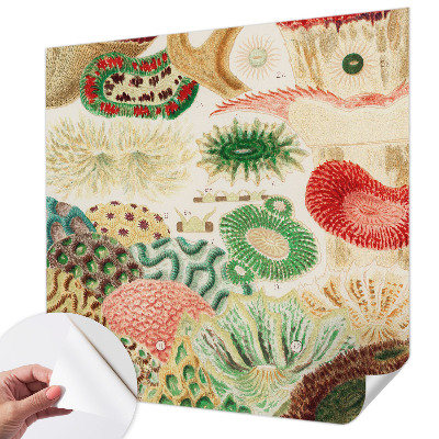 Fototapeta na ścianę Fototapeta na ścianę