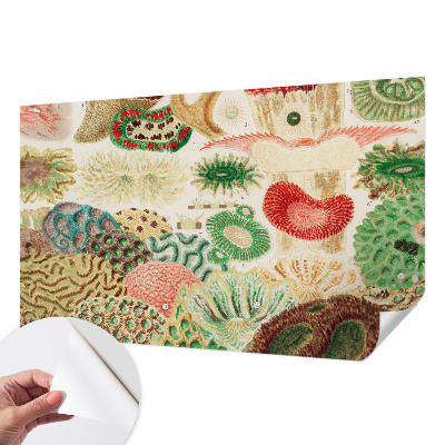 Fototapeta na ścianę Fototapeta na ścianę