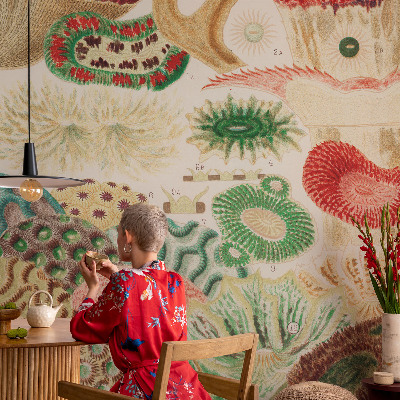 Fototapeta na ścianę Fototapeta na ścianę