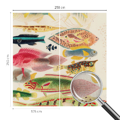 Tapeta fotograficzna Tapeta fotograficzna