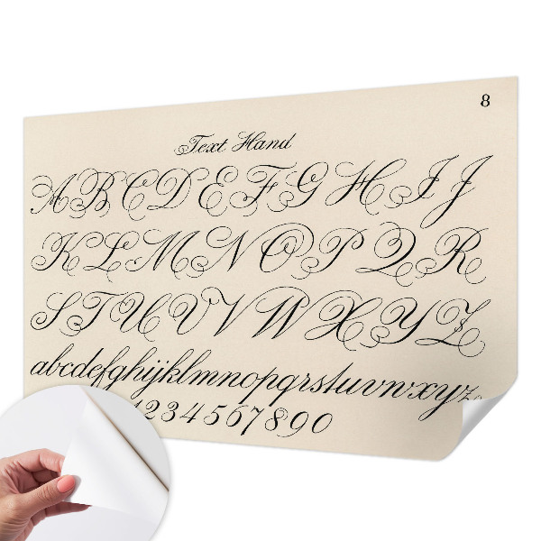 Dekoracyjna fototapeta na ścianę Dekoracyjna fototapeta na ścianę